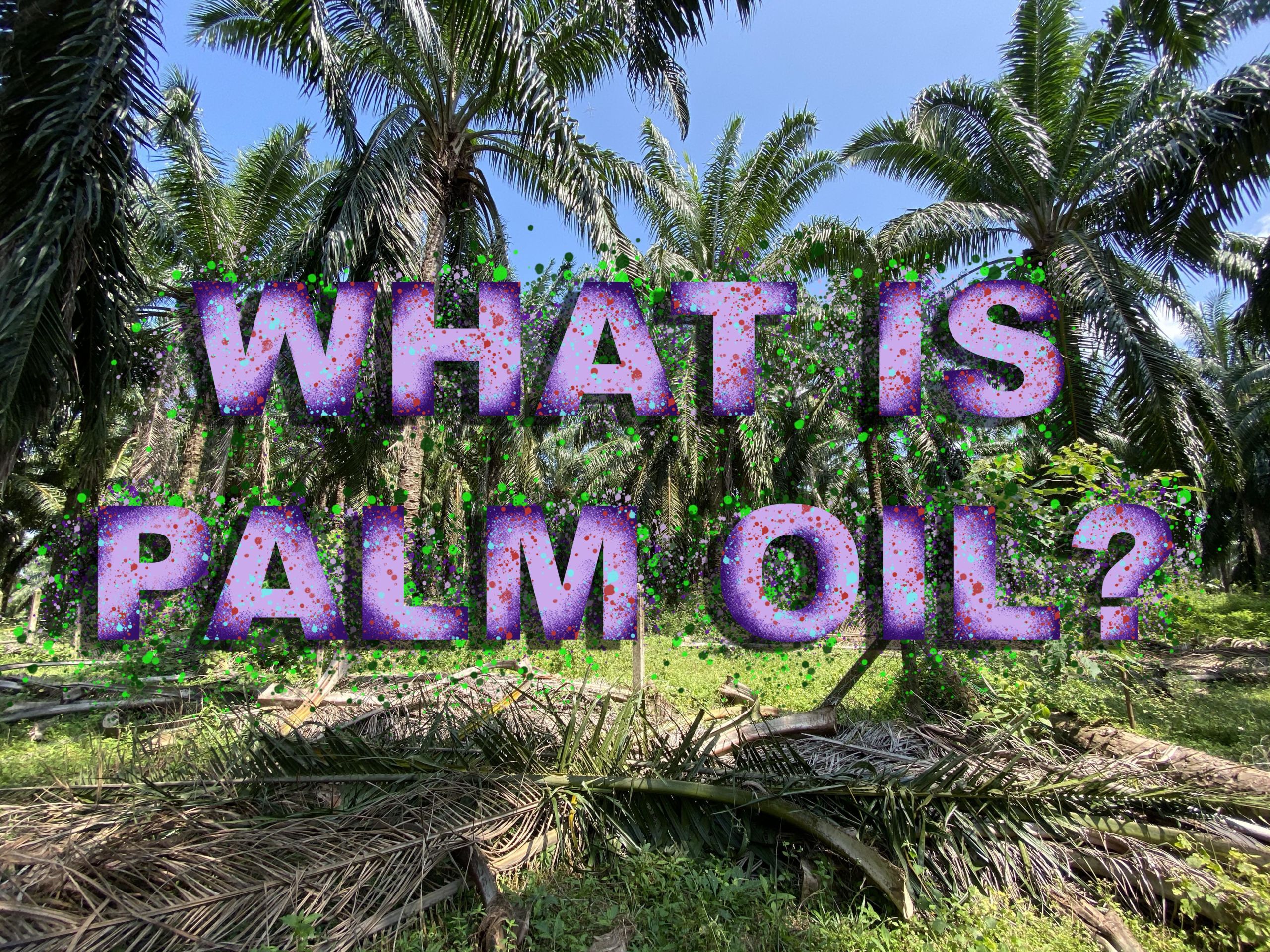 Why Is Palm Oil So Controversial?
